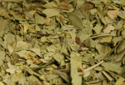 Senna Leaf thumbnail