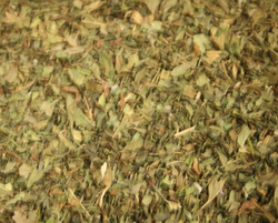 Spearmint Leaf thumbnail