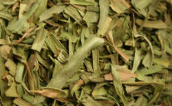 Tarragon Leaf thumbnail