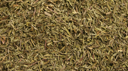 Thyme Leaf thumbnail