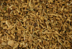 Valerian Root thumbnail