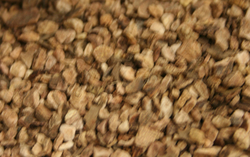 Wild Yam Root thumbnail