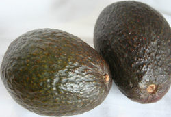 Avocado - Hass