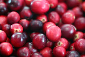 Cranberries Category thumbnail