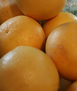 Citrus_Grapefruit-1 thumbnail