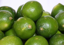Citrus_Limes-2 thumbnail
