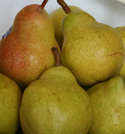 Pears_Bartlett-3 thumbnail