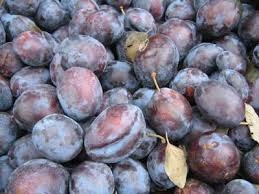 Plum Prune thumbnail