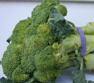 Broccoli thumbnail