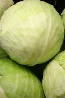 Cabbage-1 thumbnail