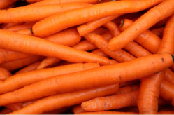 Carrots - Juicing 25lb (LOCAL)