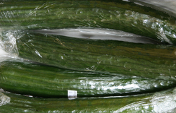 Cucumber - English (LOCAL)