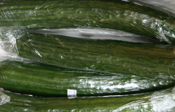 Cucumber - English 