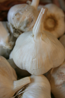 Garlic (LOCAL)