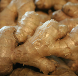 Ginger - Root Yellow Fresh