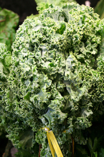 Kale - Green 