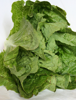 Lettuce - Romaine (LOCAL)