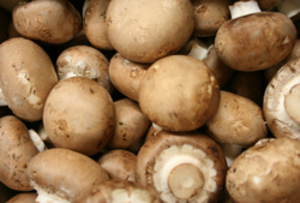 Mushroom thumbnail