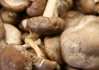 Shitake Mushrooms1 thumbnail