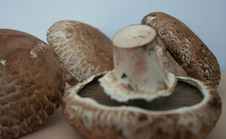 Mushrooms, Portabella thumbnail