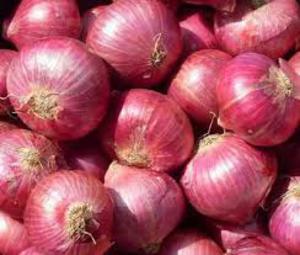 Onion Red thumbnail