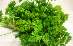Parsley-2 thumbnail