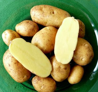 Potato German Butterball thumbnail