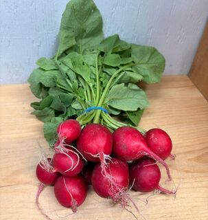 Radish Bunch 2 thumbnail