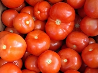 Tomatoes Off Vine thumbnail