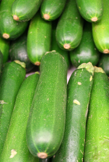 Zucchini11 thumbnail