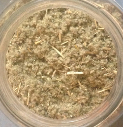 Horehound C/S