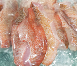 Fidsh Ocean Perch thumbnail