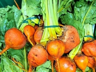 Beets Gold thumbnail