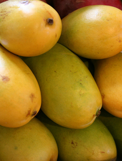 Mangoes Atulfo**