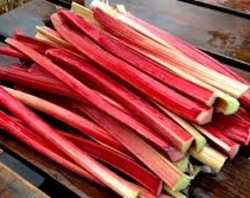 Rhubarb (LOCAL)