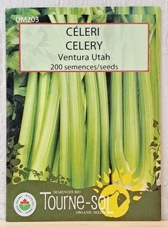 Tournesol Celery thumbnail