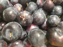 Plum Black Amber thumbnail