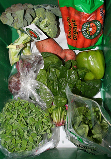Wild Basket thumbnail
