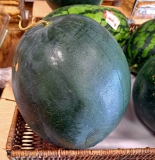 Melon Sugar Baby thumbnail