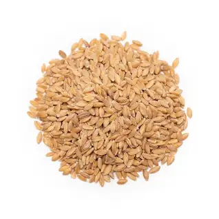 Einkorn Grain thumbnail