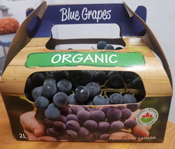 Grapes Coronation thumbnail