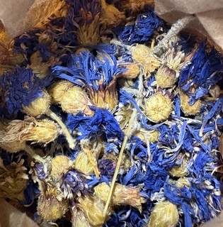 CornFlower4irbqpdqbo59 thumbnail