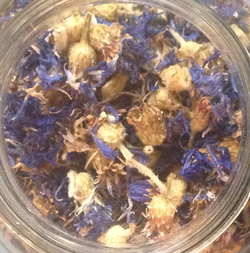 cornflower thumbnail