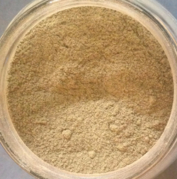 Sage Leaf - Ground