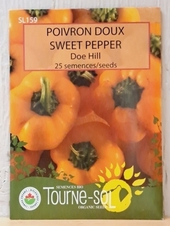 Tournesol  Pepper Sweet Doe Hill thumbnail