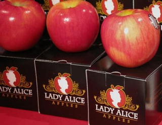 Apple Lady Alice thumbnail