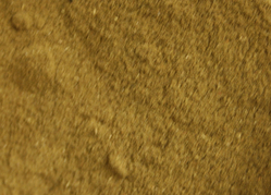 Poultry Seasoning thumbnail